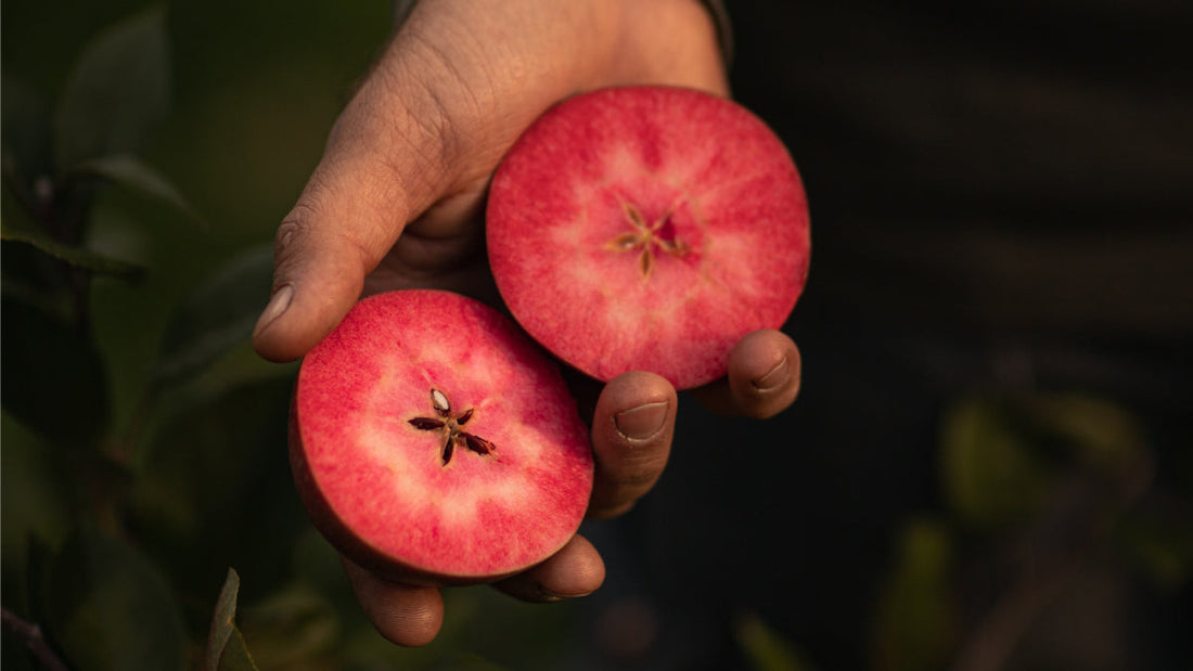 Gesundheitsvorteile von Äpfeln